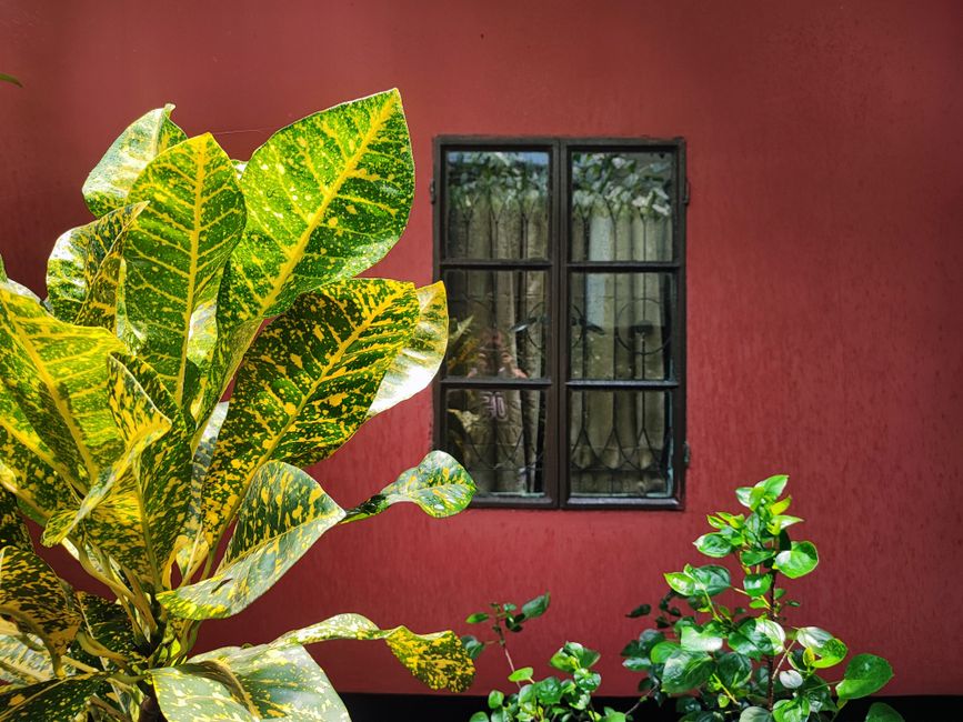 Wooden shutters on a painted exterior wall
